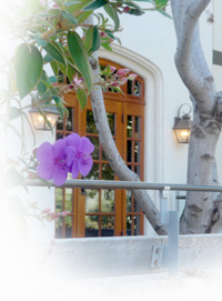 The Wright Institute Psy.D. Program