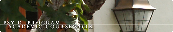 Psy.D. Program Sociocultural Issues Series Psy.D. Program Sociocultural Issues Series