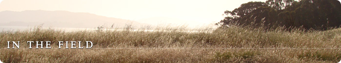 The Wright Institute In the Field The Wright Institute In the Field