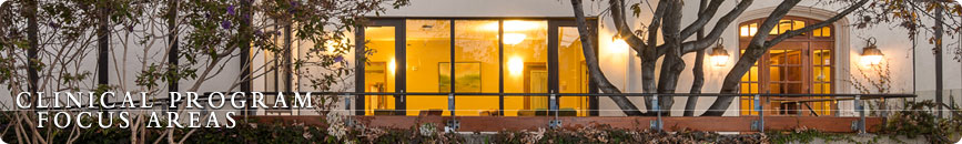 Psy.D. Program Focus Areas and Certificates Psy.D. Program Focus Areas and Certificates