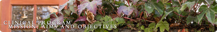 Psy.D. Program Aims and Objectives Psy.D. Program Aims and Objectives
